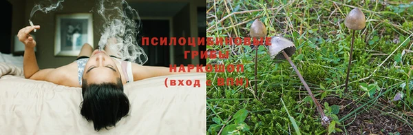 ECSTASY Яранск
