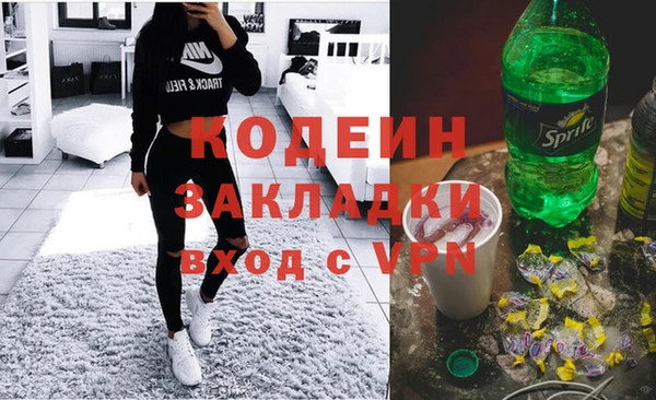 шишки Рыльск
