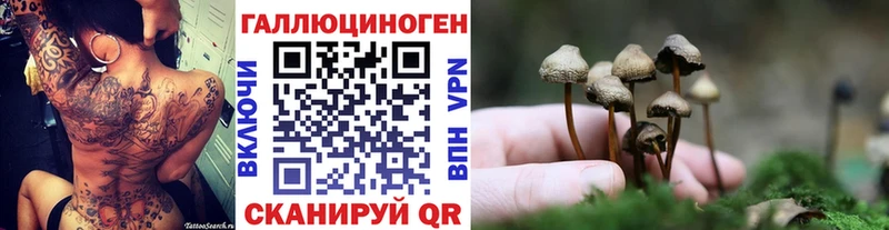 где купить наркоту  Аша  Псилоцибиновые грибы Cubensis 