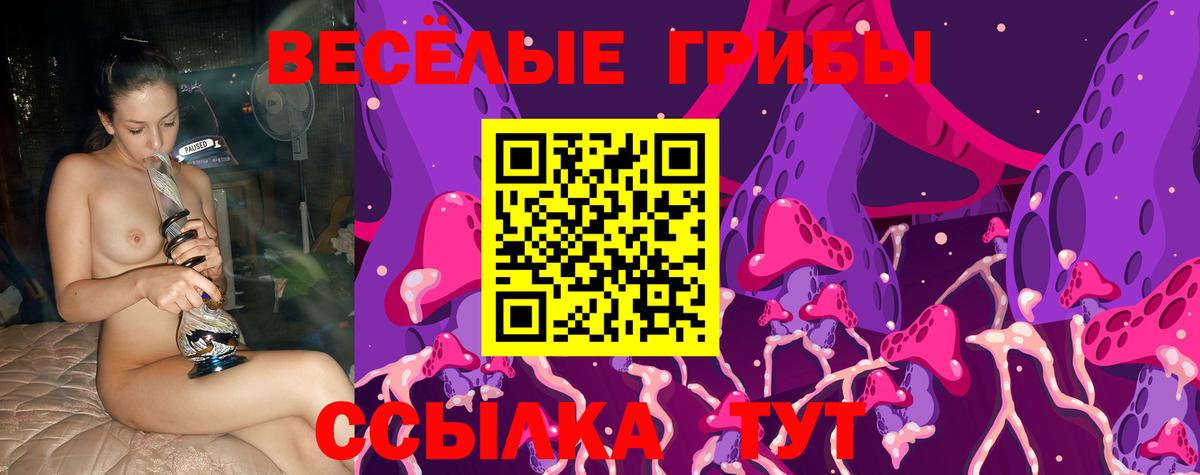 Аша  Галлюциногенные грибы GOLDEN TEACHER  Псилоцибиновые грибы Psilocybe  Вход с VPN 